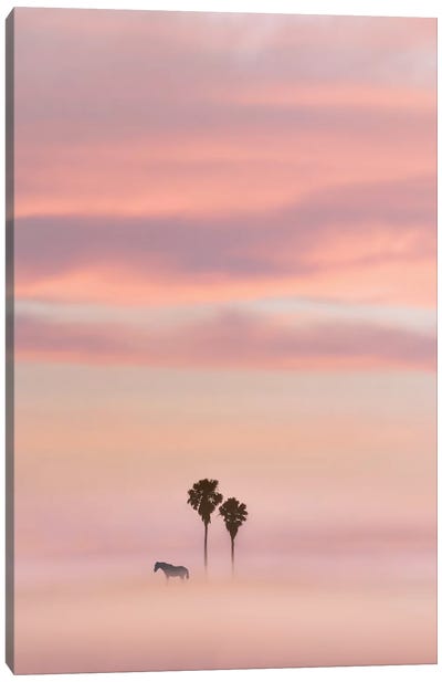 Just Another Sunset Canvas Art Print - Nirs Photography