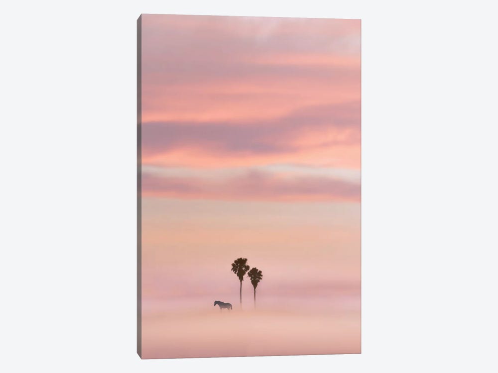 Just Another Sunset by Nirs Photography 1-piece Canvas Wall Art