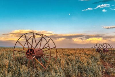 Leftovers by Nirs Photography framed wall art