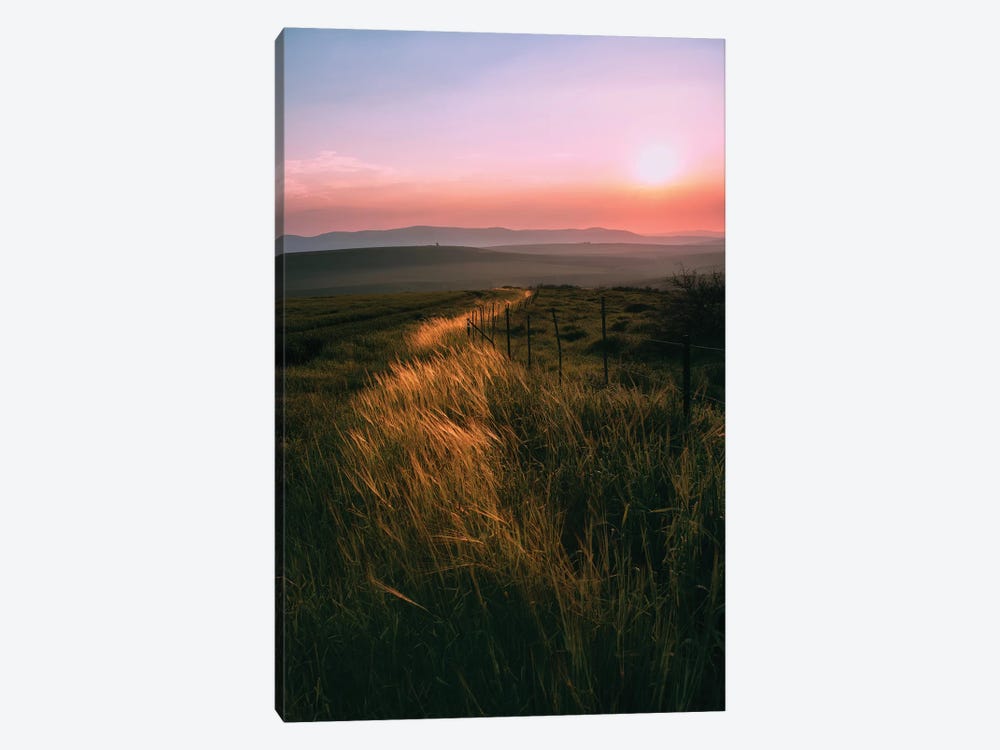 Light Trail by Nirs Photography 1-piece Canvas Wall Art