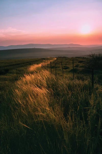 Light Trail