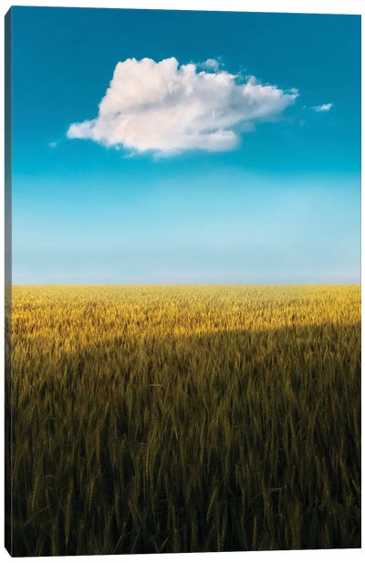 Lone Cloud Canvas Art Print - Rothko Inspired Photography