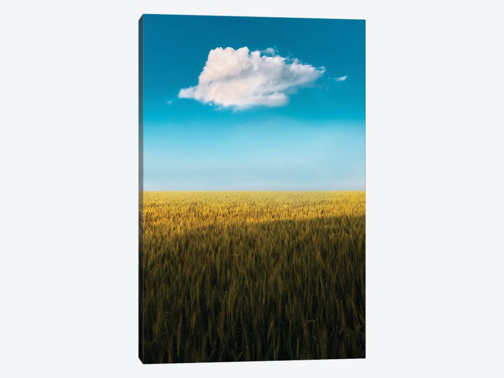 Lone Cloud by Nirs Photography 1-piece Canvas Print