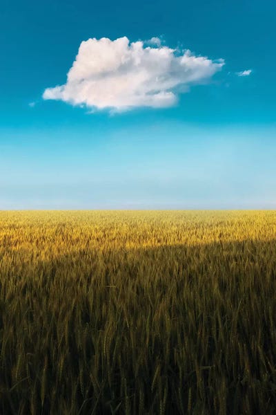 Nirs Photography: Lone Cloud by Nirs Photography