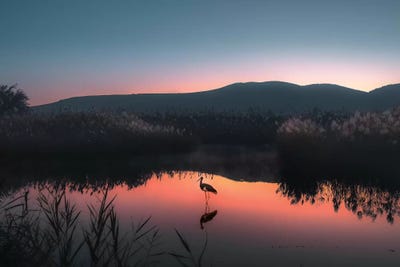 Midnight Dream by Nirs Photography framed wall art