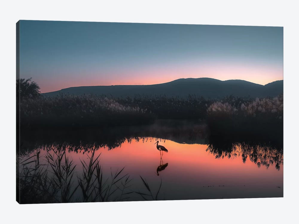 Midnight Dream by Nirs Photography 1-piece Canvas Artwork