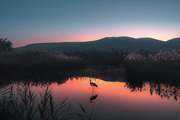 Nirs Photography: Midnight Dream by Nirs Photography