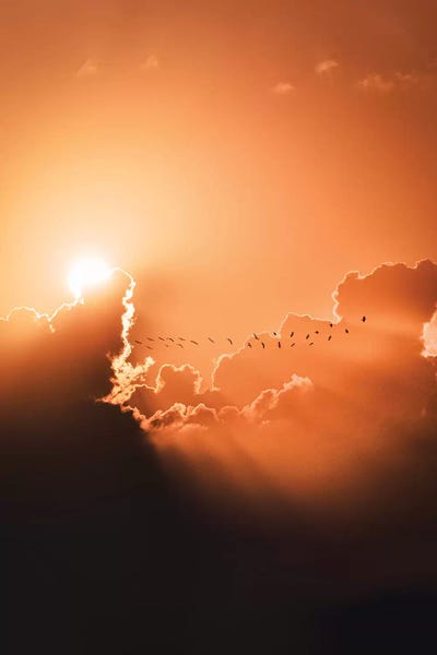 Nirs Photography: New Hope by Nirs Photography