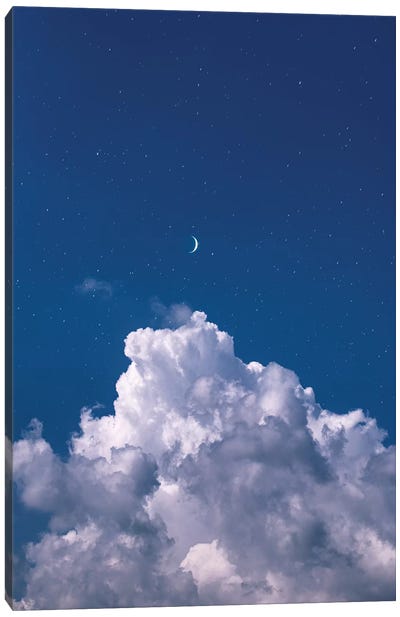 Over The Clouds Canvas Art Print