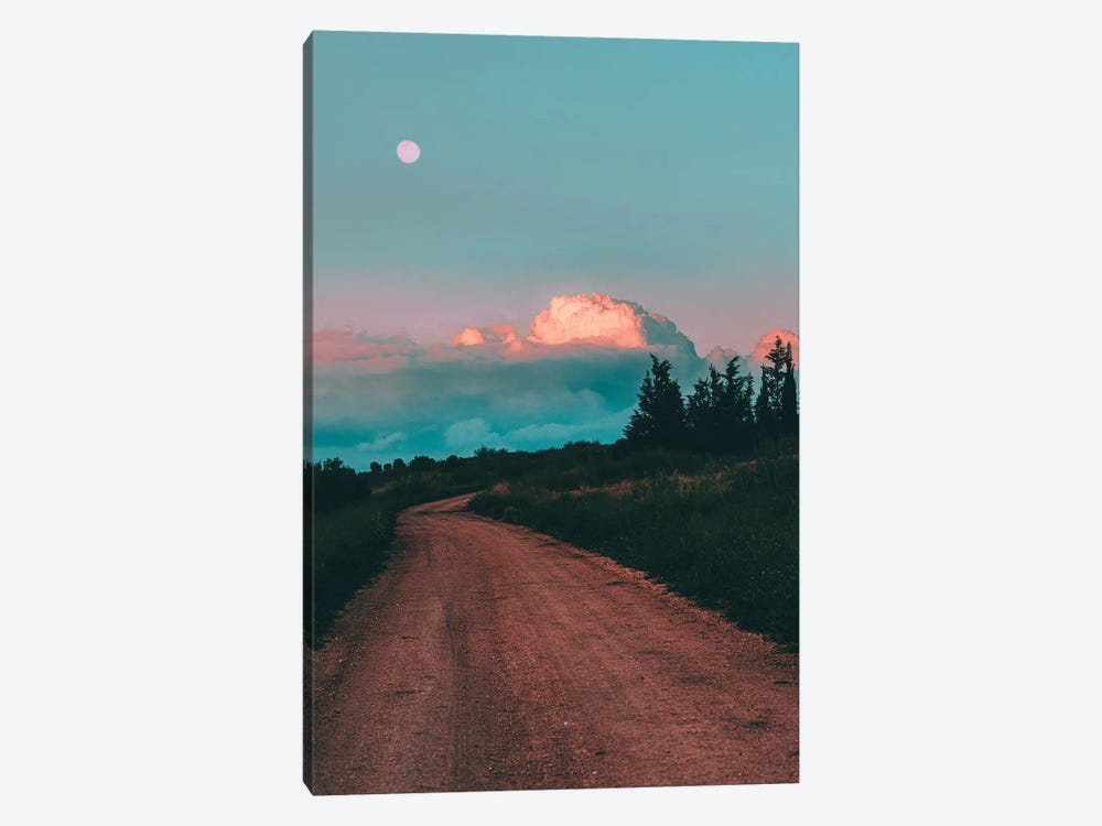 Pine Road by Nirs Photography 1-piece Canvas Artwork