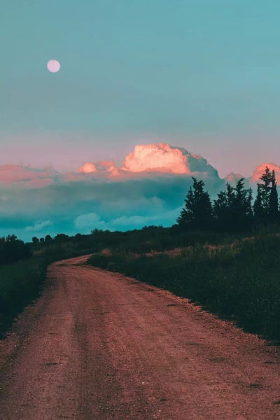 Nirs Photography: Pine Road by Nirs Photography