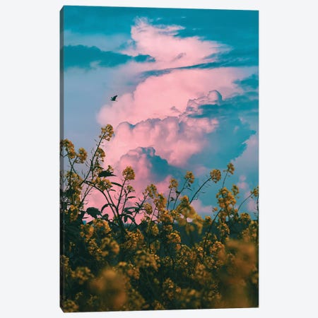 Pink Storm Canvas Print #NPH46} by Nirs Photography Canvas Wall Art
