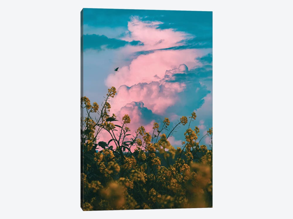 Pink Storm by Nirs Photography 1-piece Canvas Artwork