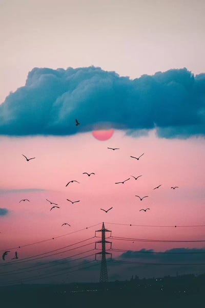 Nirs Photography: Red Sun by Nirs Photography