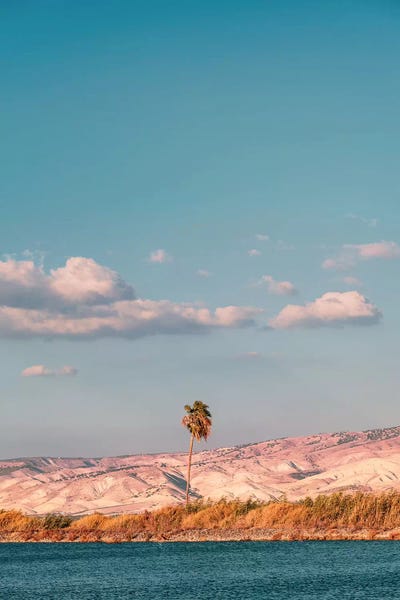 Nirs Photography: See Him Standing There by Nirs Photography