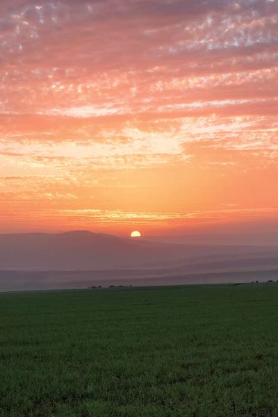 Shy Sunset by Nirs Photography canvas print