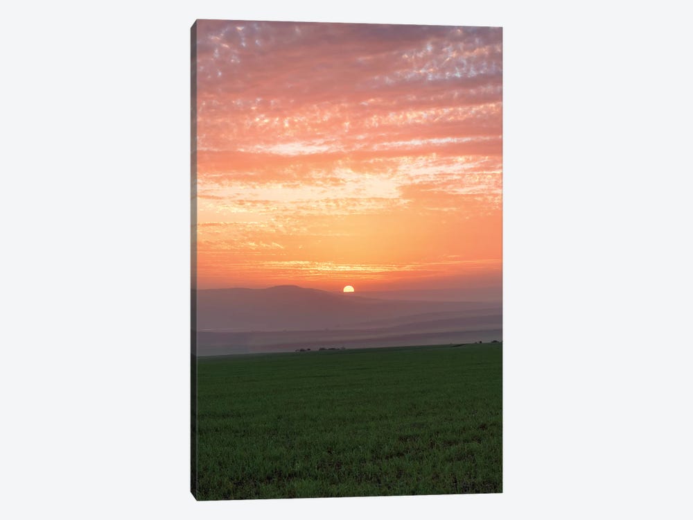 Shy Sunset by Nirs Photography 1-piece Canvas Art