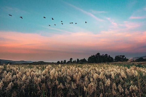 Nirs Photography: Silent by Nirs Photography