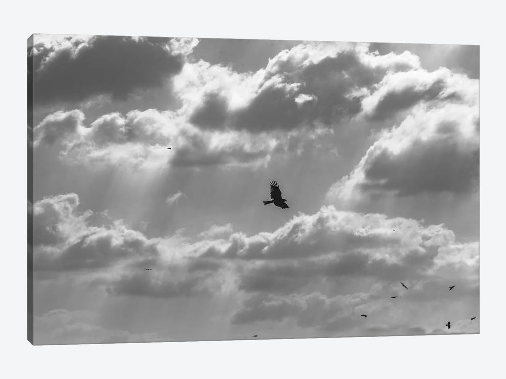 Soaring High by Nirs Photography 1-piece Canvas Wall Art