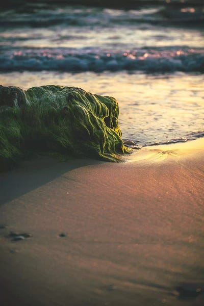 Nirs Photography: Soft Trails by Nirs Photography