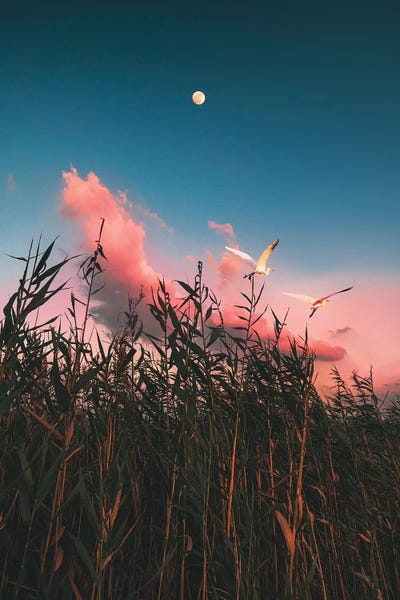 Someone In The Door by Nirs Photography framed wall art