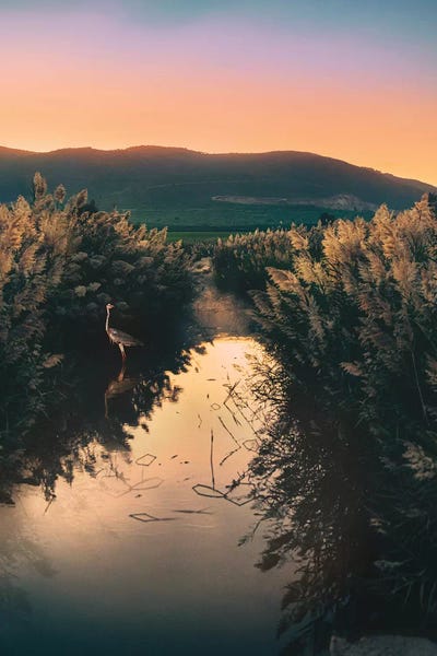 Sun Bath by Nirs Photography framed wall art