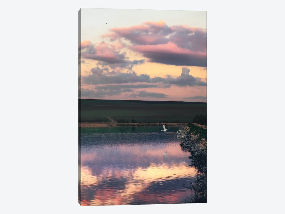 Takeoff by Nirs Photography 1-piece Canvas Art Print