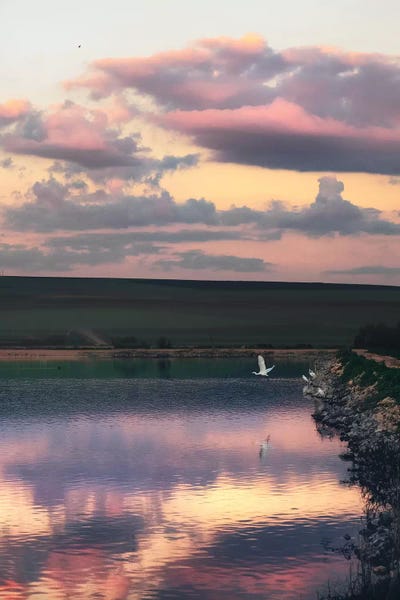 Nirs Photography: Takeoff by Nirs Photography