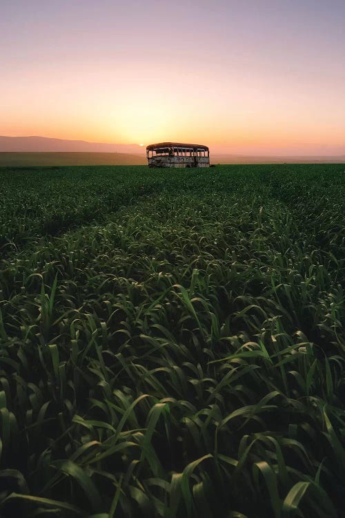 The Bus by Nirs Photography canvas print