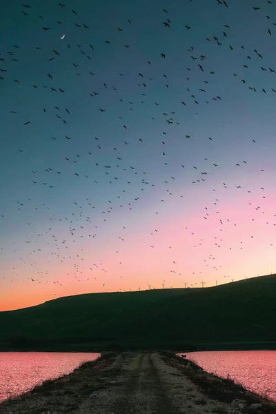 They Came From Everywhere by Nirs Photography framed wall art