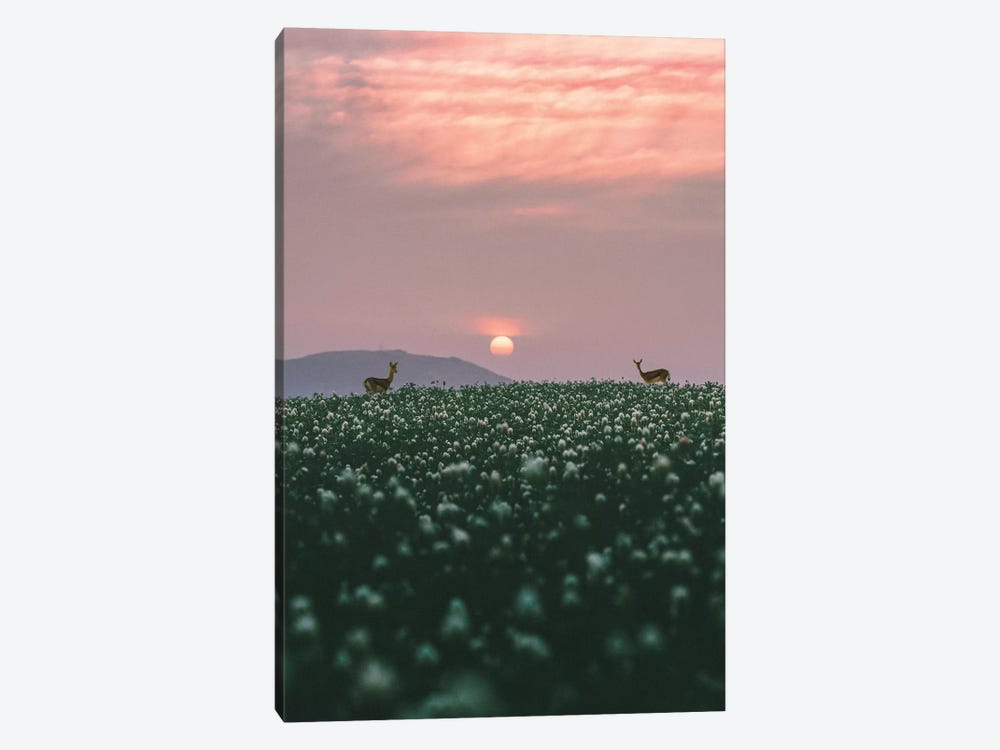 Behind The Grass by Nirs Photography 1-piece Canvas Print