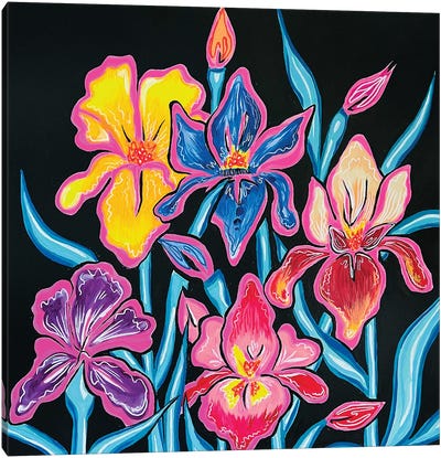 Iris Garden Canvas Art Print - Nicoleta Paints