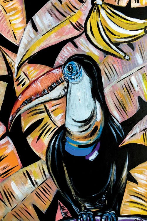 Toucan