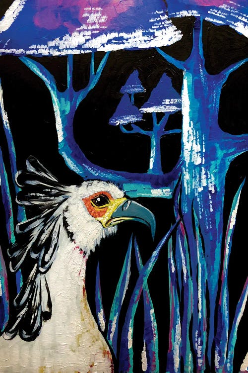 The Secretary Bird by Nicoleta Paints wall art