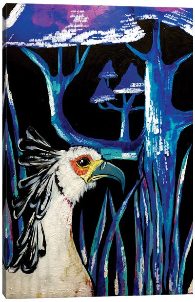The Secretary Bird Canvas Art Print - Nicoleta Paints