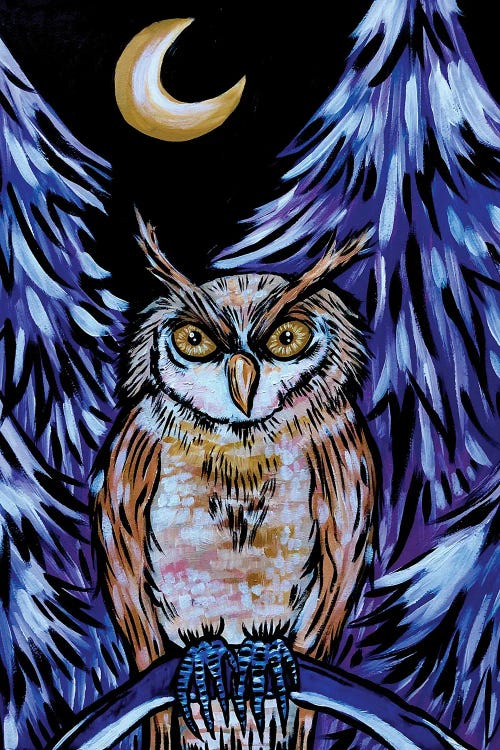 Owl by Nicoleta Paints wall art