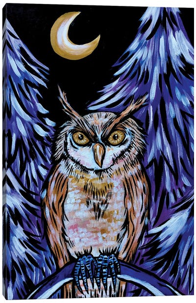 Owl Canvas Art Print - Nicoleta Paints
