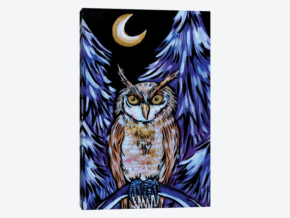 Owl by Nicoleta Paints 1-piece Canvas Print