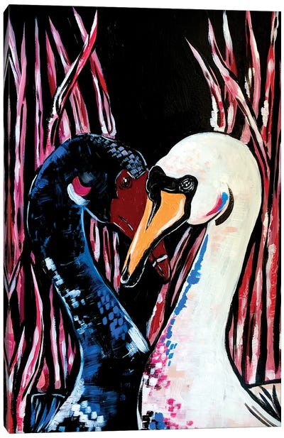 Swans In Love Canvas Art Print - Swan Art