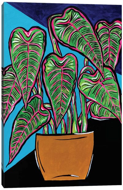Potted Plant In Blues And Blacks Canvas Art Print - Nicoleta Paints