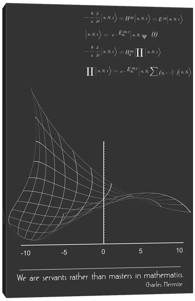 Charles Hermite Math Quote Canvas Art Print - Mathematics Art
