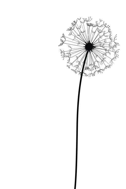 Modern Dandelion by Nordic Print Studio wall art