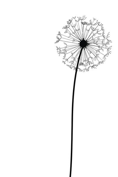 Dandelions: Modern Dandelion by Nordic Print Studio