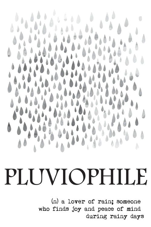 Pluviophile Definition by Nordic Print Studio wall art