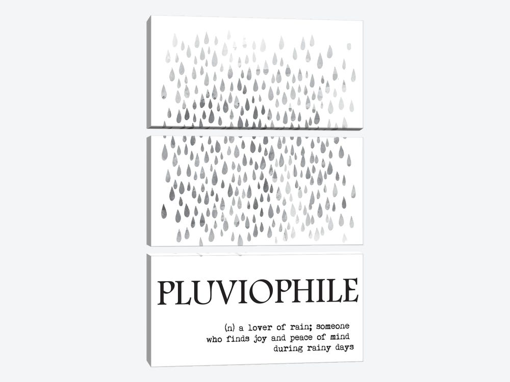 Pluviophile Definition by Nordic Print Studio 3-piece Canvas Wall Art
