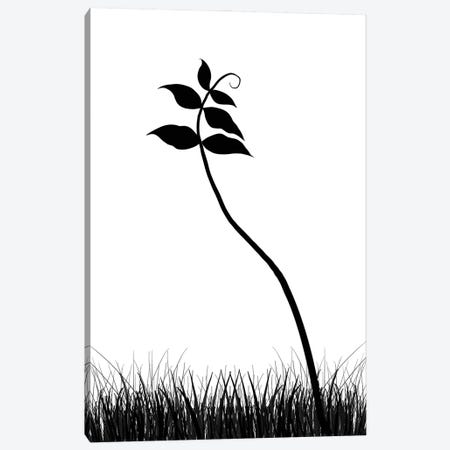 Minimalist Black & White Plant Canvas Print #NPS54} by Nordic Print Studio Canvas Artwork