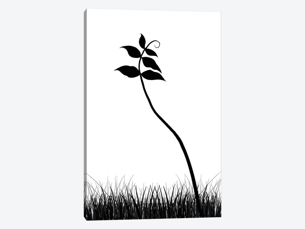Minimalist Black & White Plant by Nordic Print Studio 1-piece Canvas Art Print