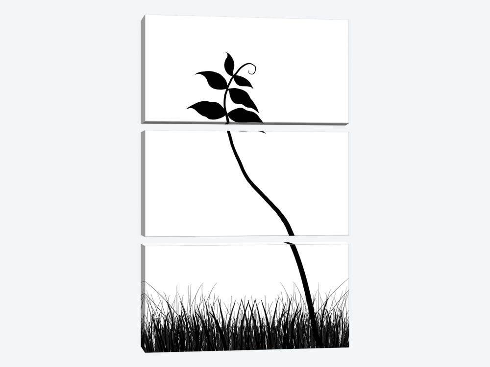 Minimalist Black & White Plant by Nordic Print Studio 3-piece Canvas Print