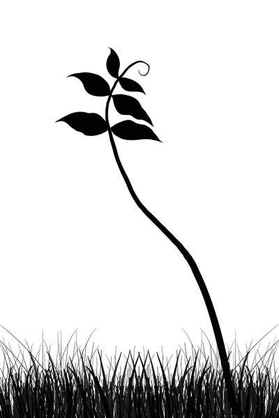 Grasses: Minimalist Black & White Plant by Nordic Print Studio