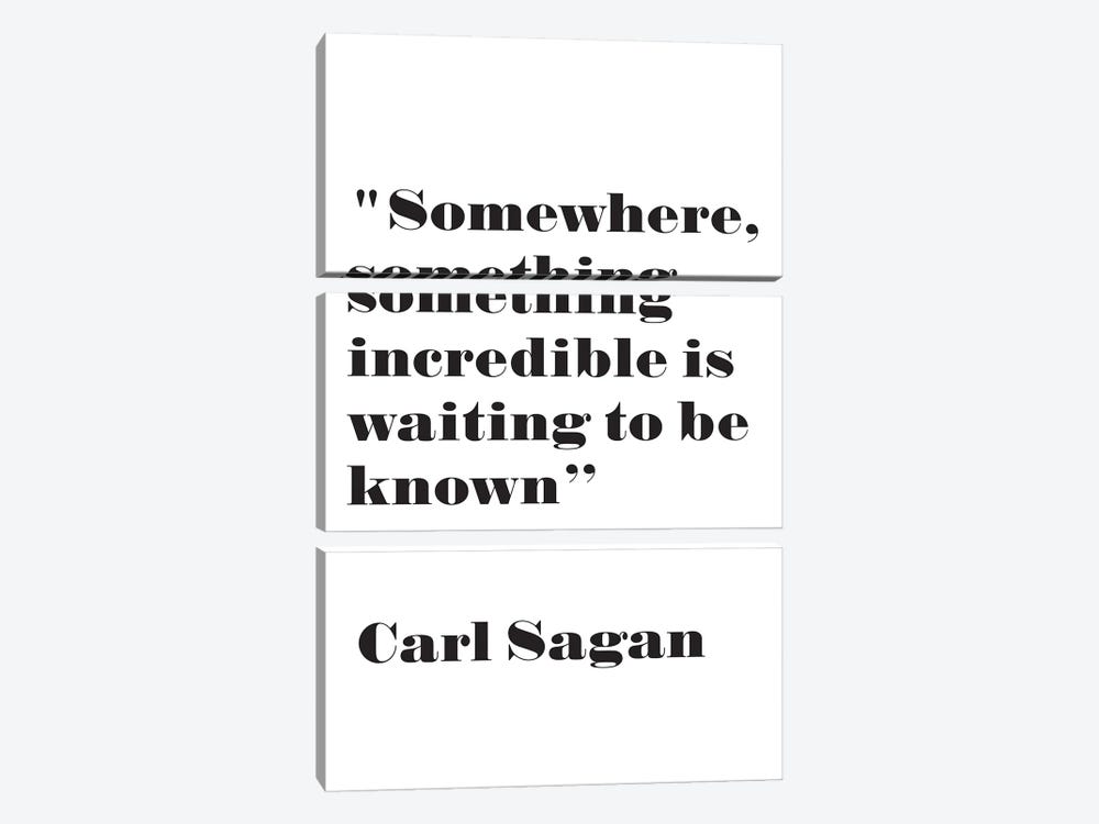 Something Incredible - Carl Sagan Quote by Nordic Print Studio 3-piece Canvas Wall Art